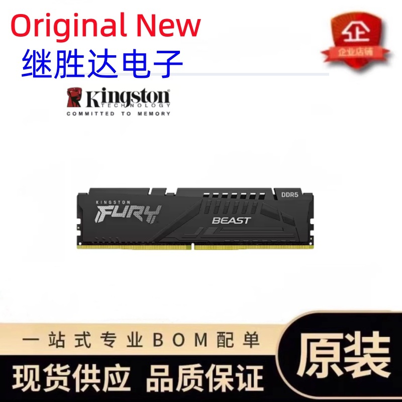 Kingston FURY Beast DDR5 Memor - Ddr5 32Gb recension och pris